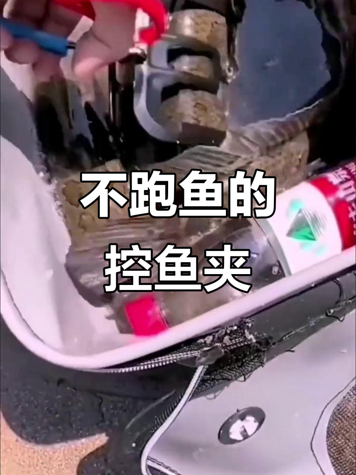 控鱼夹子,不脏手又稳抓大鱼