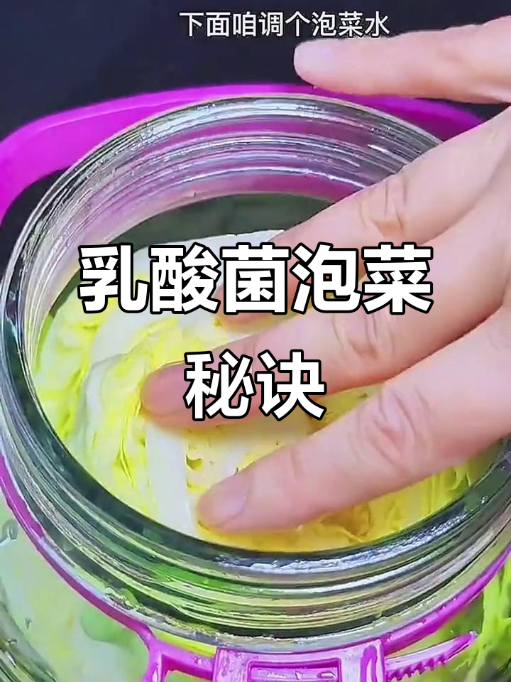 泡菜生花?试试乳酸菌法,效果杠杠的!