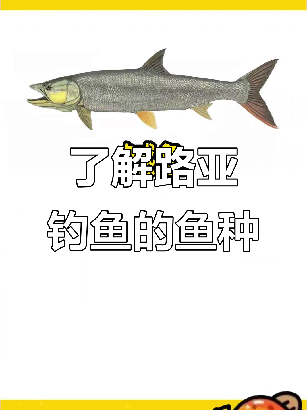 路亚鱼种揭秘:不是所有鱼类都适合路亚钓法