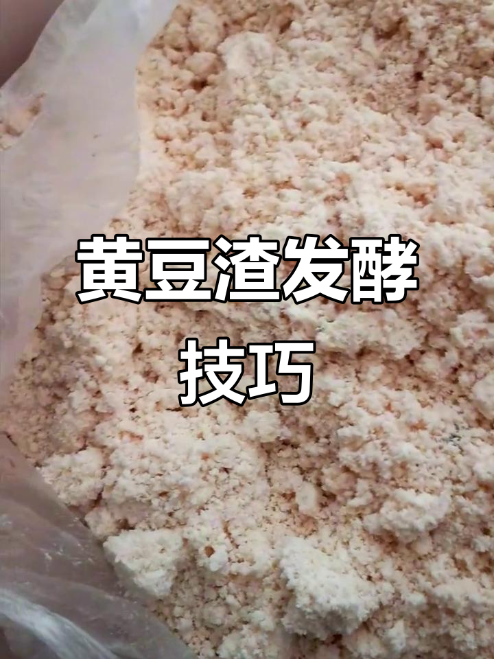 豆渣发酵三十斤,红糖助力快速成功