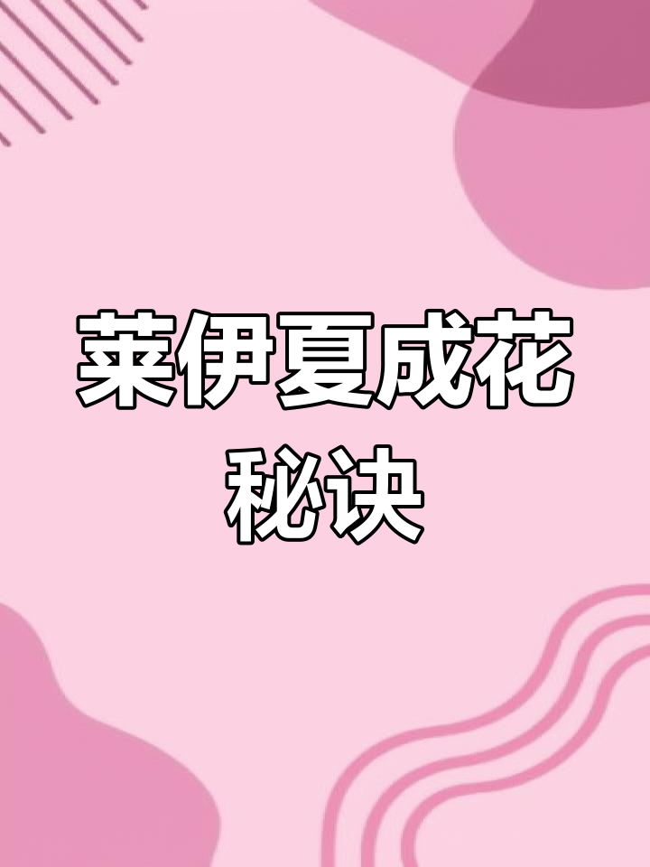 莱伊夏柠檬酸磷酐助力果树开花,叶片健康有保障