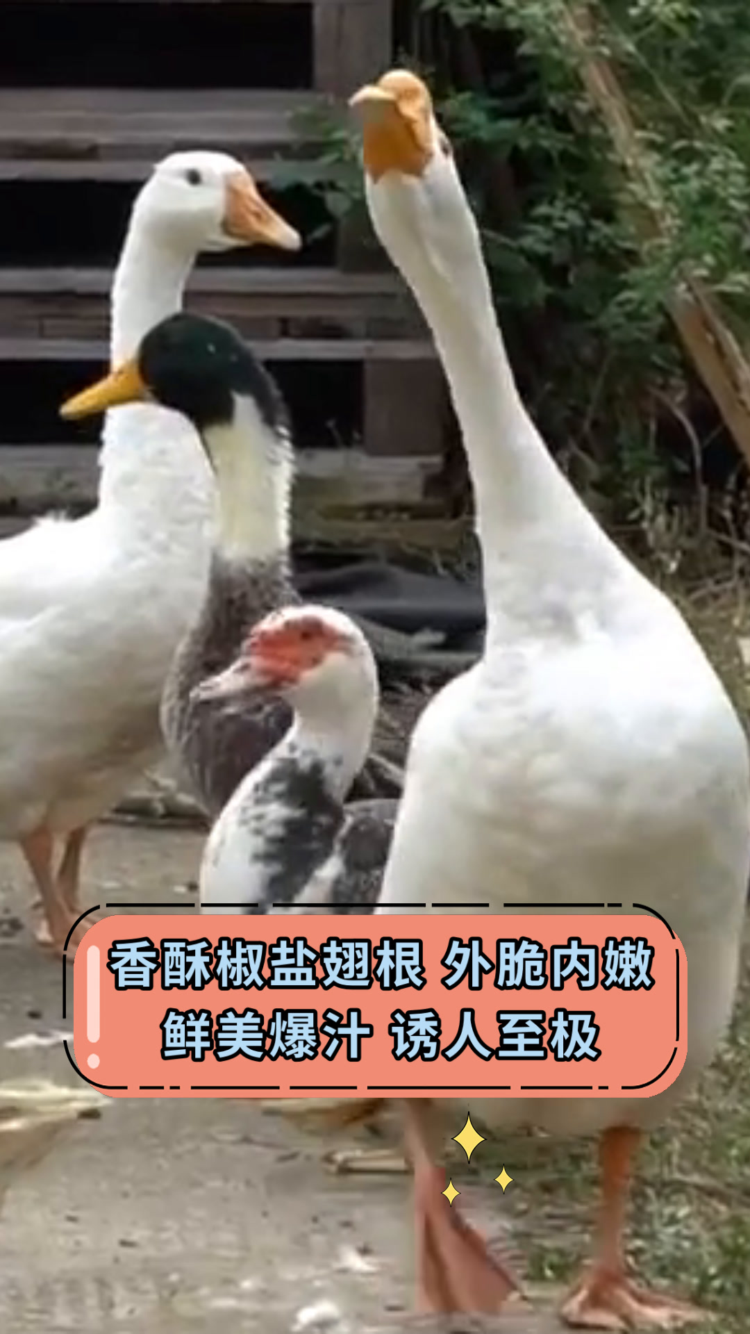 香酥椒盐翅根 外脆内嫩鲜美爆汁 诱人至极