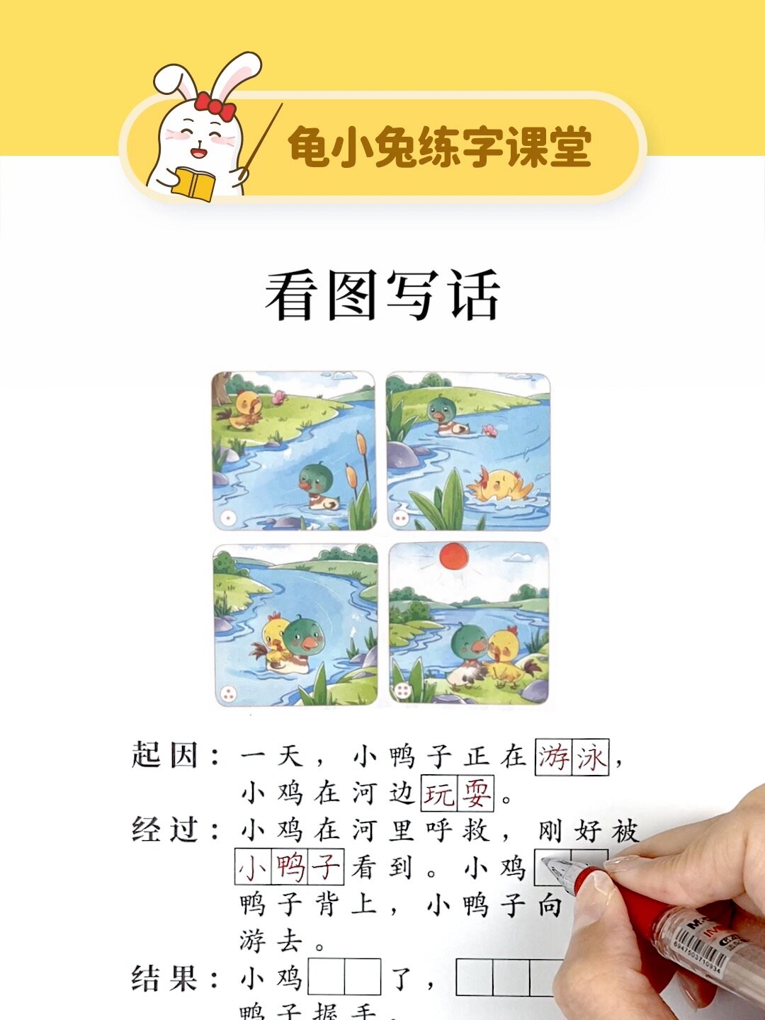 看图写话《小鸡和小鸭子》