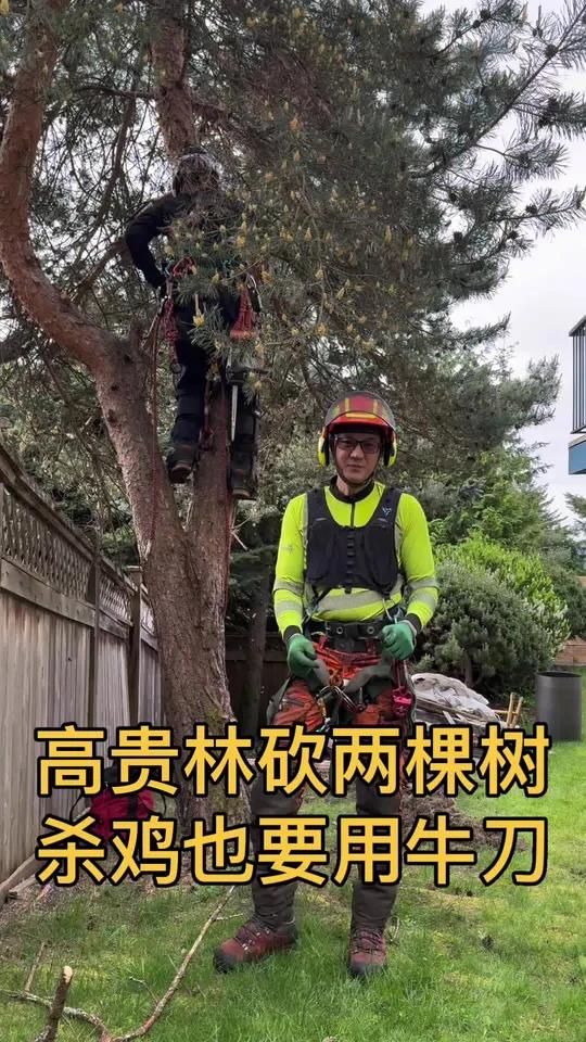 杀鸡也要用牛刀