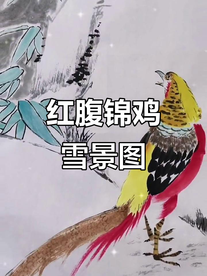 雪景中的红腹锦鸡,国画意境之美尽显