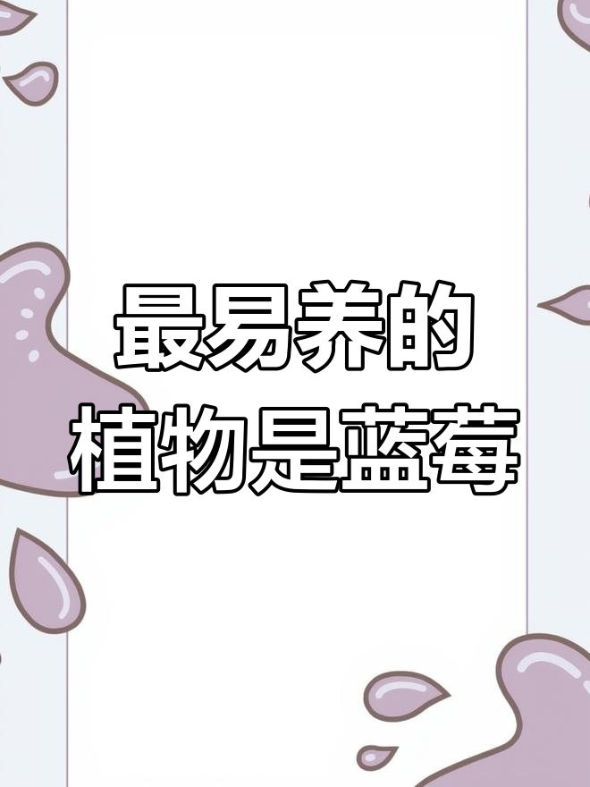 蓝莓比多肉更好养,结果又大又甜!