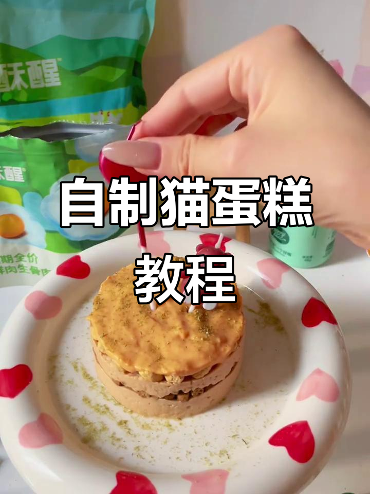 猫咪生日蛋糕DIY，简单又美味！