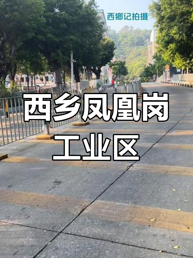 深圳宝安西乡凤凰岗工业区,打工人足迹遍布