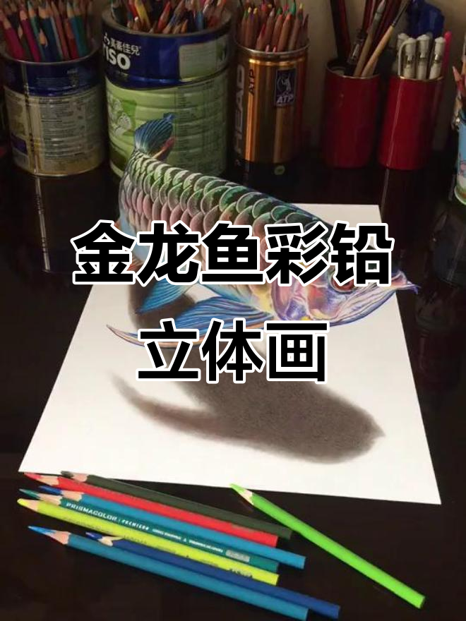 彩铅金龙鱼3D立体画,栩栩如生跃然纸上