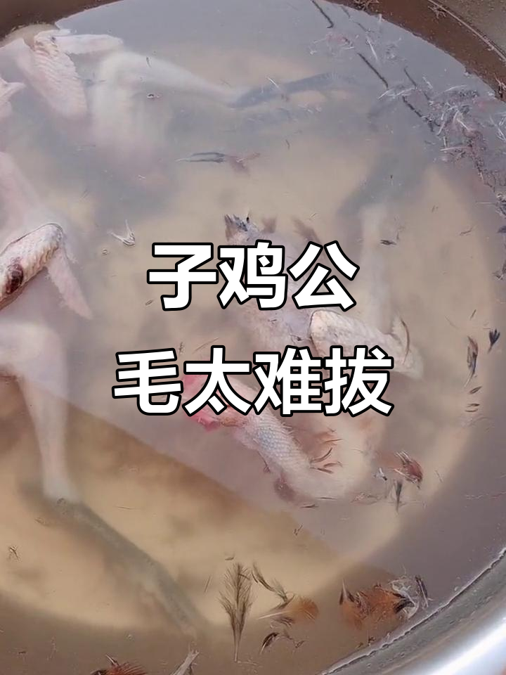 拔子鸡公毛,两腿发麻真难忍