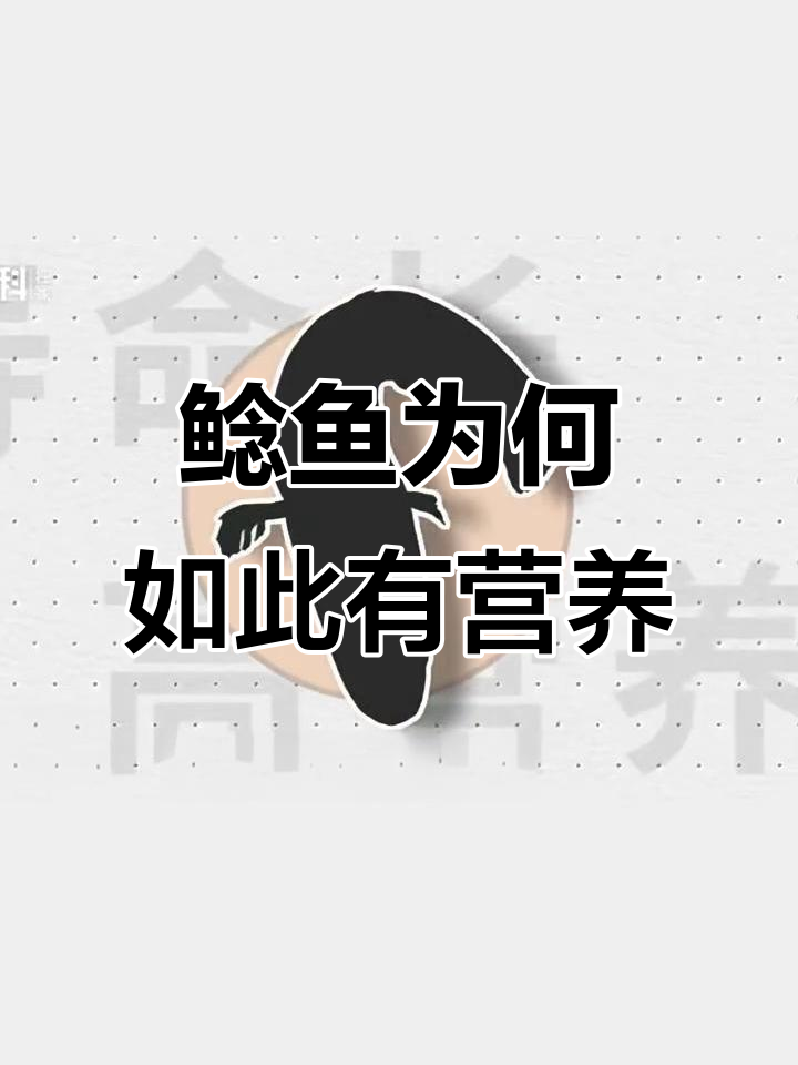 鲶鱼营养丰富,能媲美甲鱼的秘密