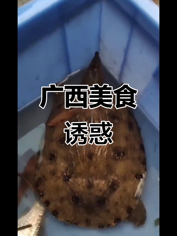 姐姐邀请吃荔枝,河里捉到水鱼,土鸡煲美味诱人!