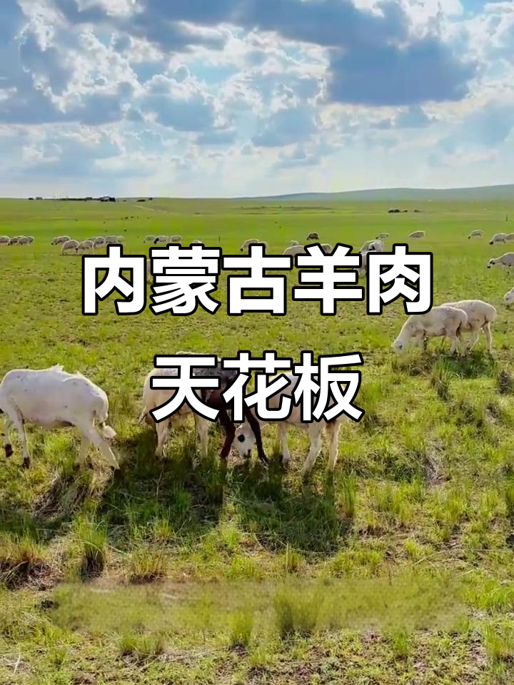 锡林郭勒盟羊肉大揭秘:乌珠穆沁与苏尼特的美味对比