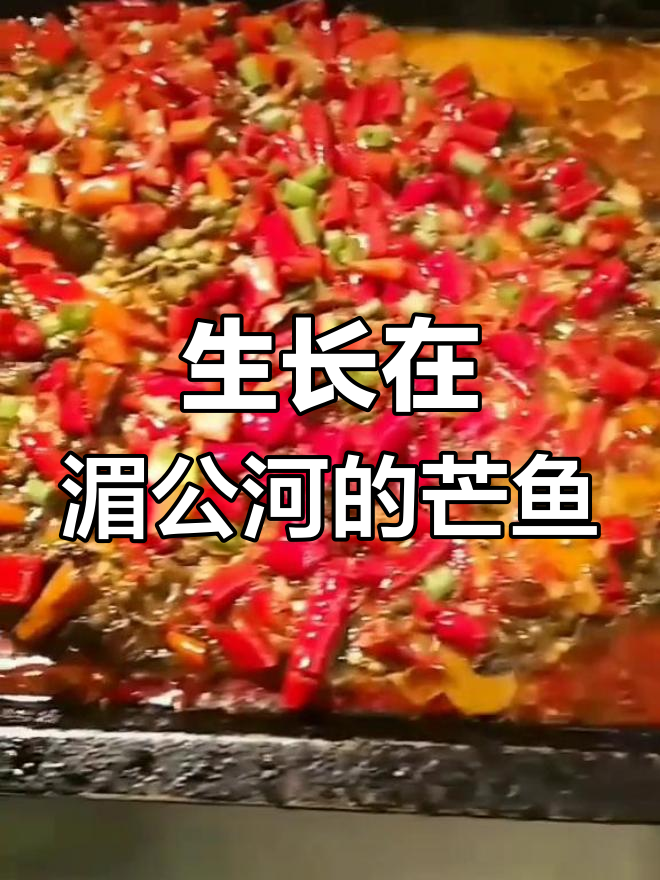 湄公鱼:越南特产的无鳞淡水鱼