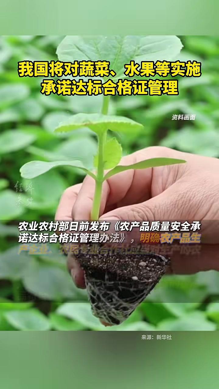 我国将对蔬菜、水果等实施承诺达标合格证管理