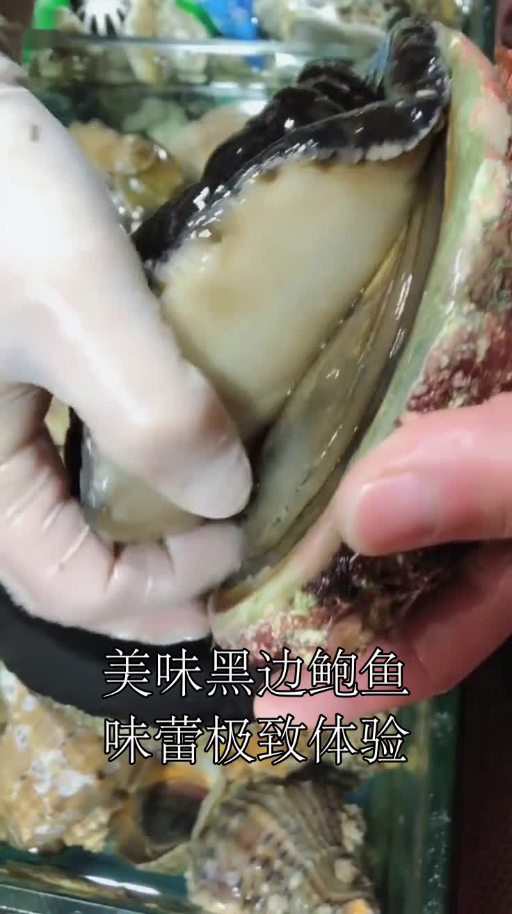 美味黑边鲍鱼,味蕾极致体验