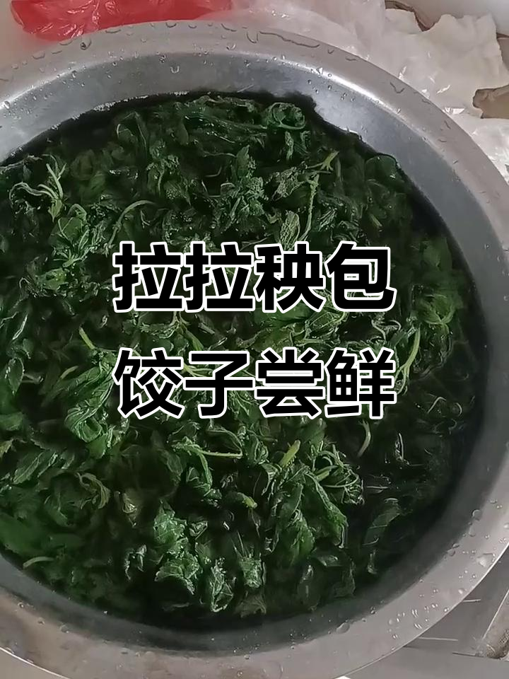 今晚尝尝拉拉秧包饺子,大自然的馈赠不容错过