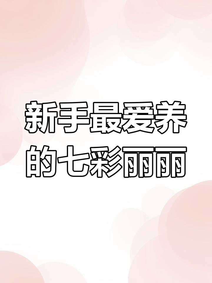 七彩丽丽鱼:新手必养,颜值爆表的水中精灵