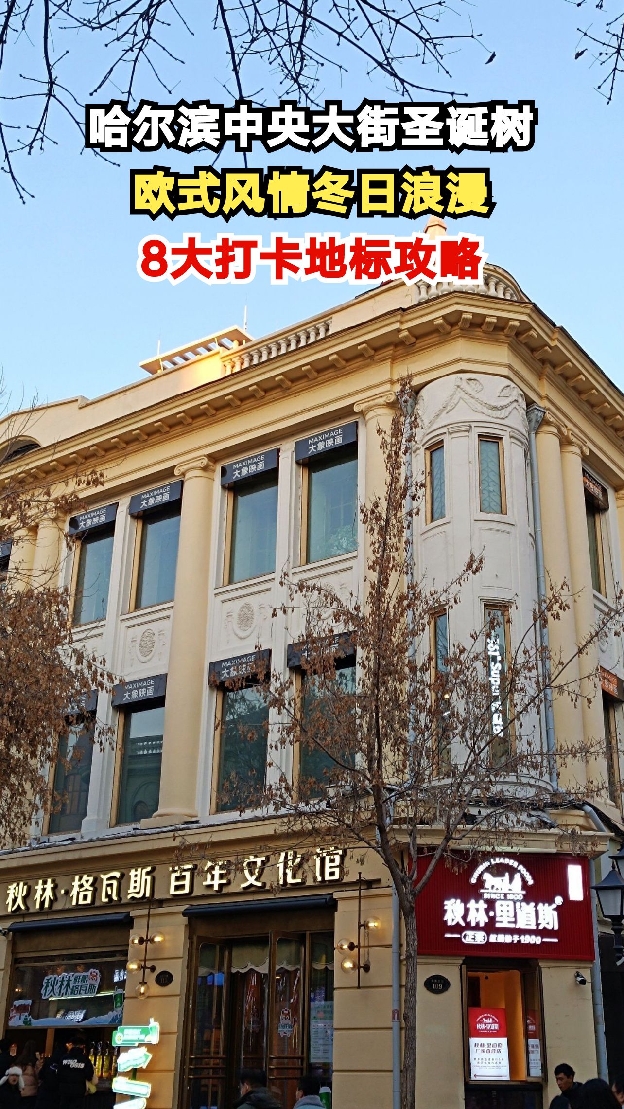 真面包圣诞树惊艳哈尔滨!中央大街8大地标等你打卡,这份攻略请收好