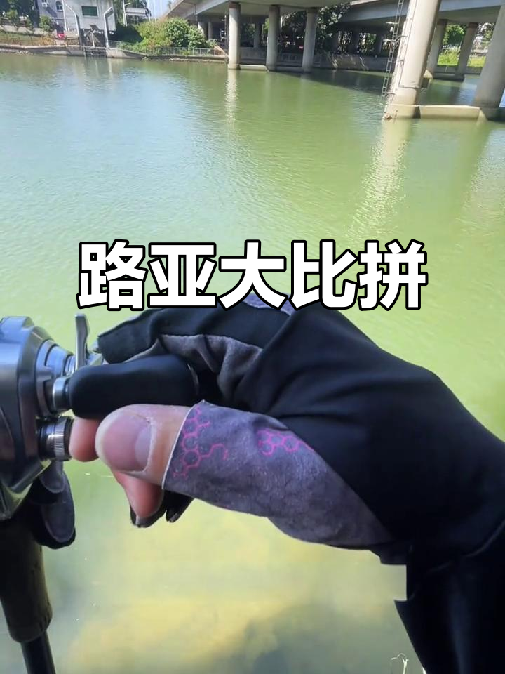大家来聊聊,你钓过最大的鳊鱼有多大?