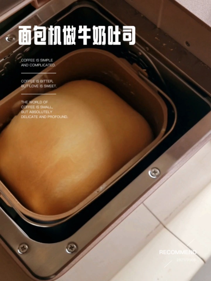 东菱面包机做牛奶吐司教程
