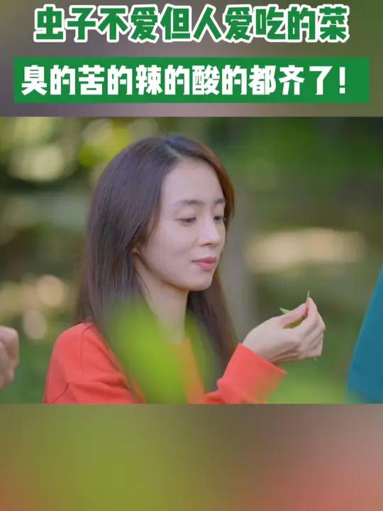 云南野菜为什么臭的苦的辣的酸的都齐了?竟是因为热带地区虫害严重,而虫子不吃这些味道奇特的野