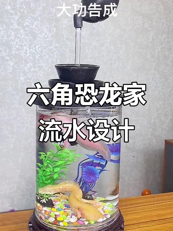 六角恐龙流水系统安装全攻略，轻松搞定叠级模式