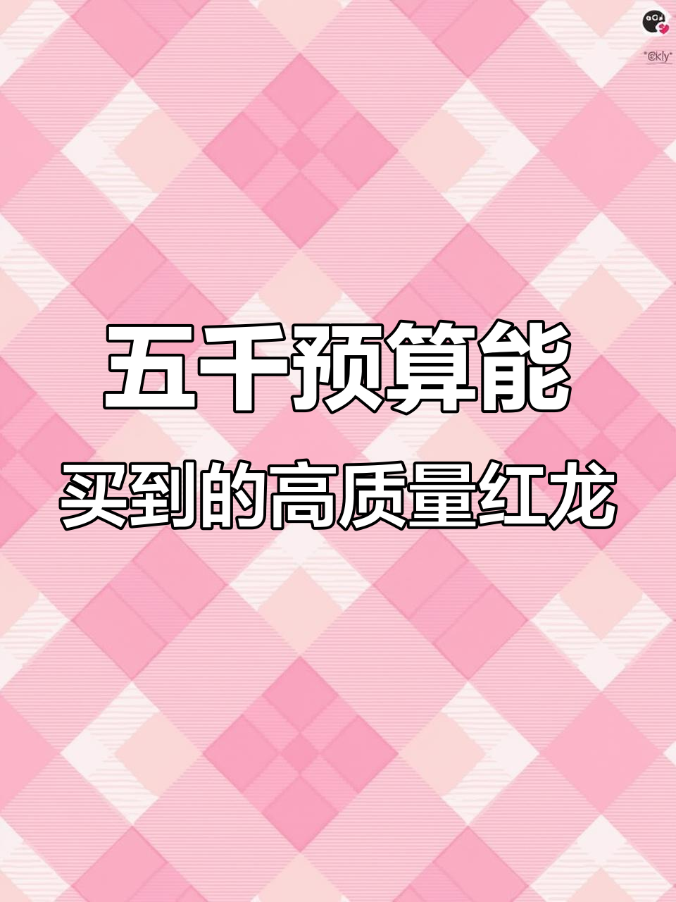 完美红龙鱼,品质与状态兼备