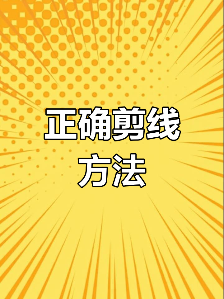 牛羊手术剪线技巧,避免损伤组织