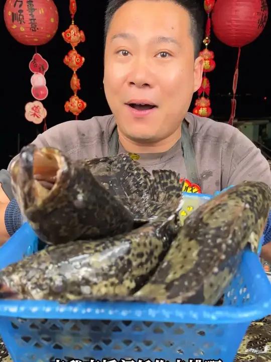 不会吧~深海石斑鱼都比淡水鱼还便宜了。你年货还不来准备吗