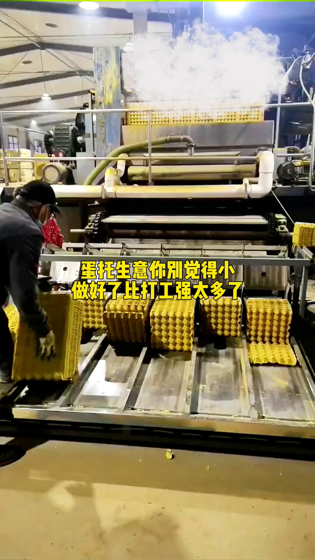 蛋托生意你别小瞧,做的好了也能有不错的收益 鸡蛋托 蛋托机 蛋托成型机