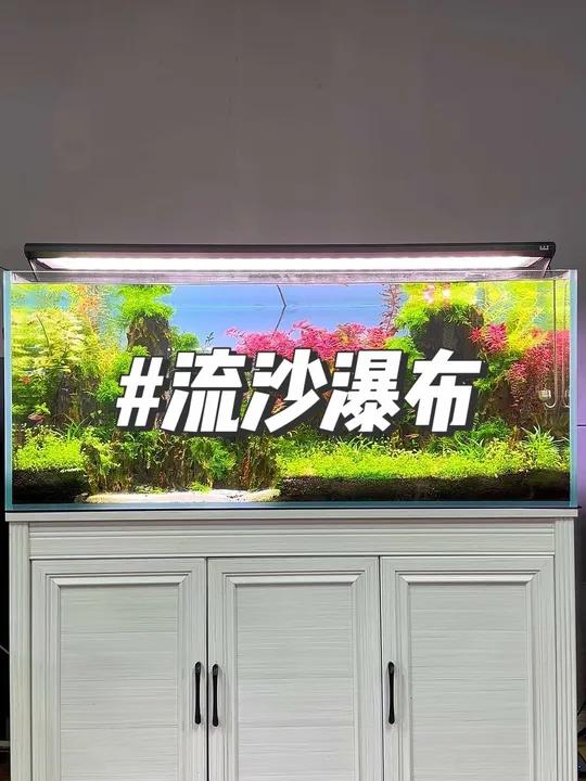 流沙瀑布解答 鱼缸里的大自然 鱼缸造景景观设计 水族 鱼缸