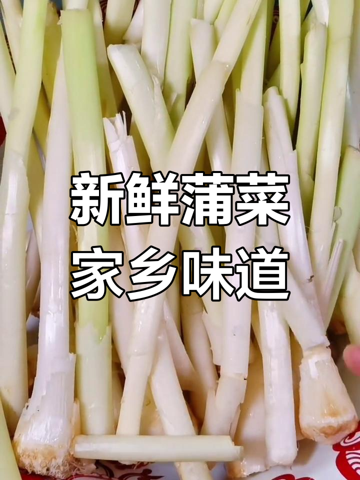 淮安特产:蒲菜的独特风味