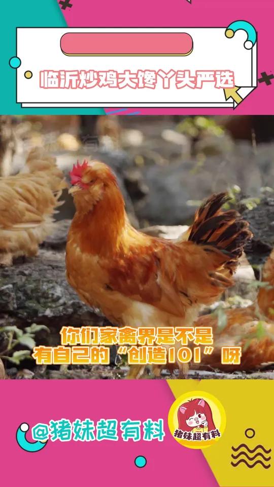 有人能拒绝一顿来自笨鸡小跑的诱惑!