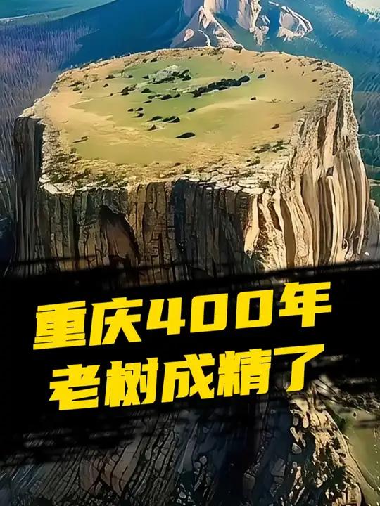 重庆百年老树竟然开口讲话,还长出一对大脚板 离奇 离奇事件 诡异