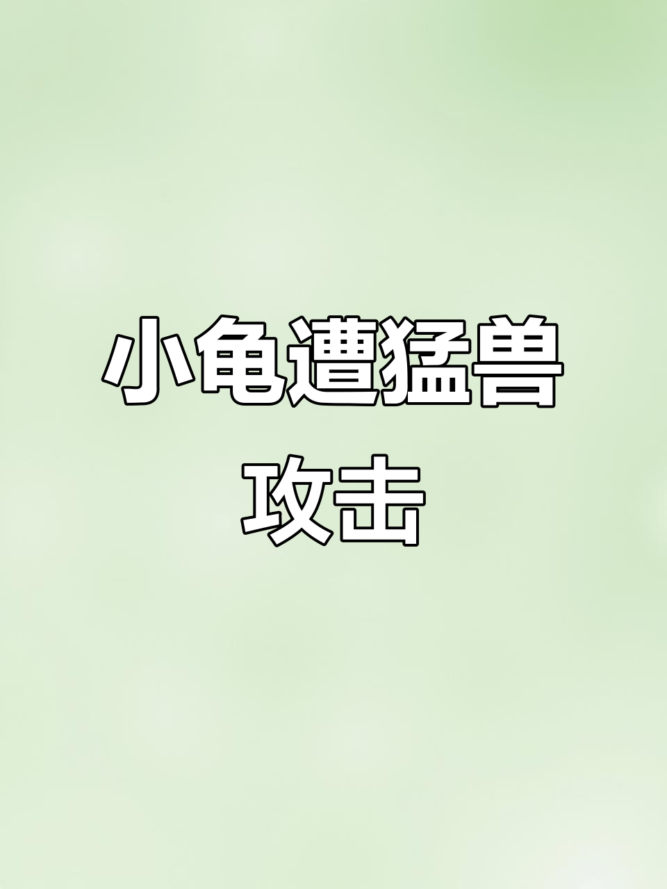 海象、巨虎和招财猫疯狂“围攻”小乌龟,险些丧命!