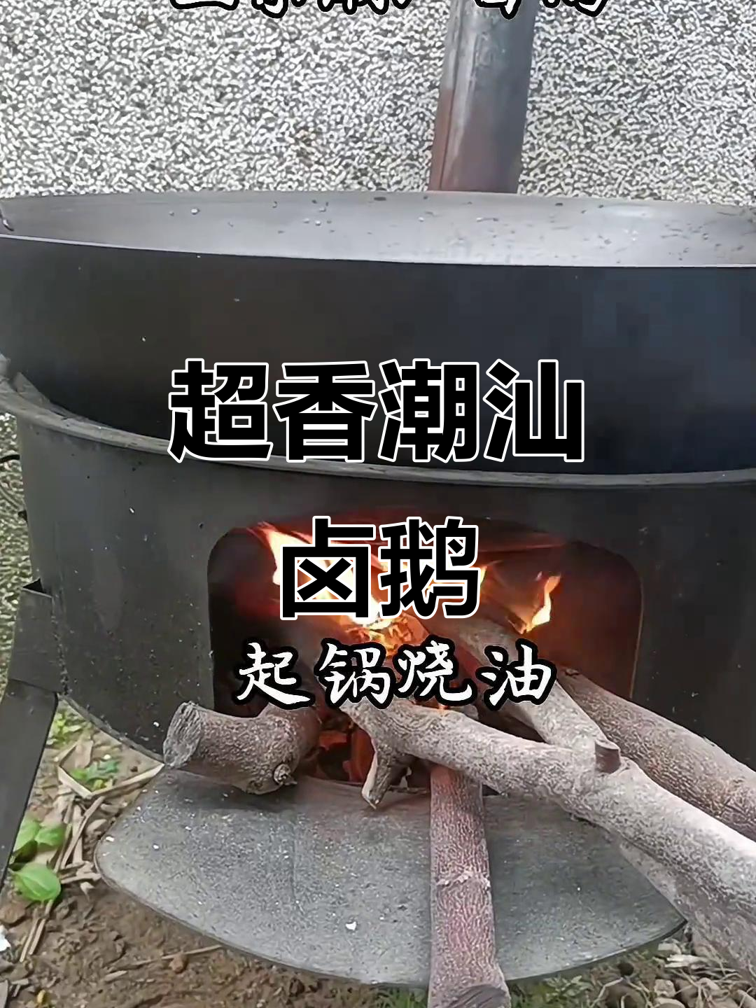 潮汕卤鹅秘制配方，香气扑鼻让人无法抗拒