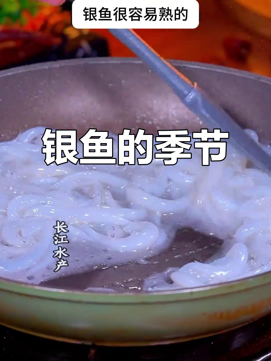 8月银鱼鲜嫩上市,营养丰富老少皆宜!