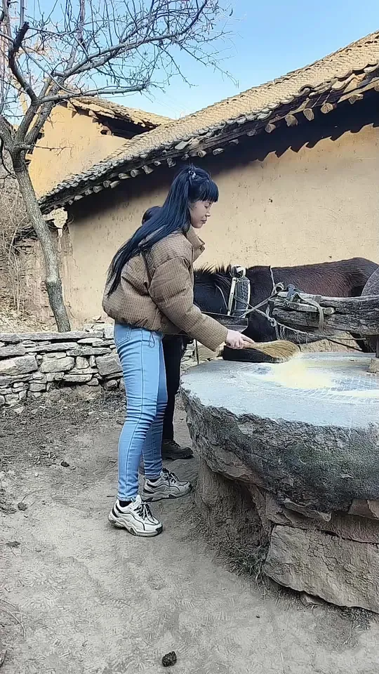 春天到了，碾玉米面，蒸窝窝头菜团子