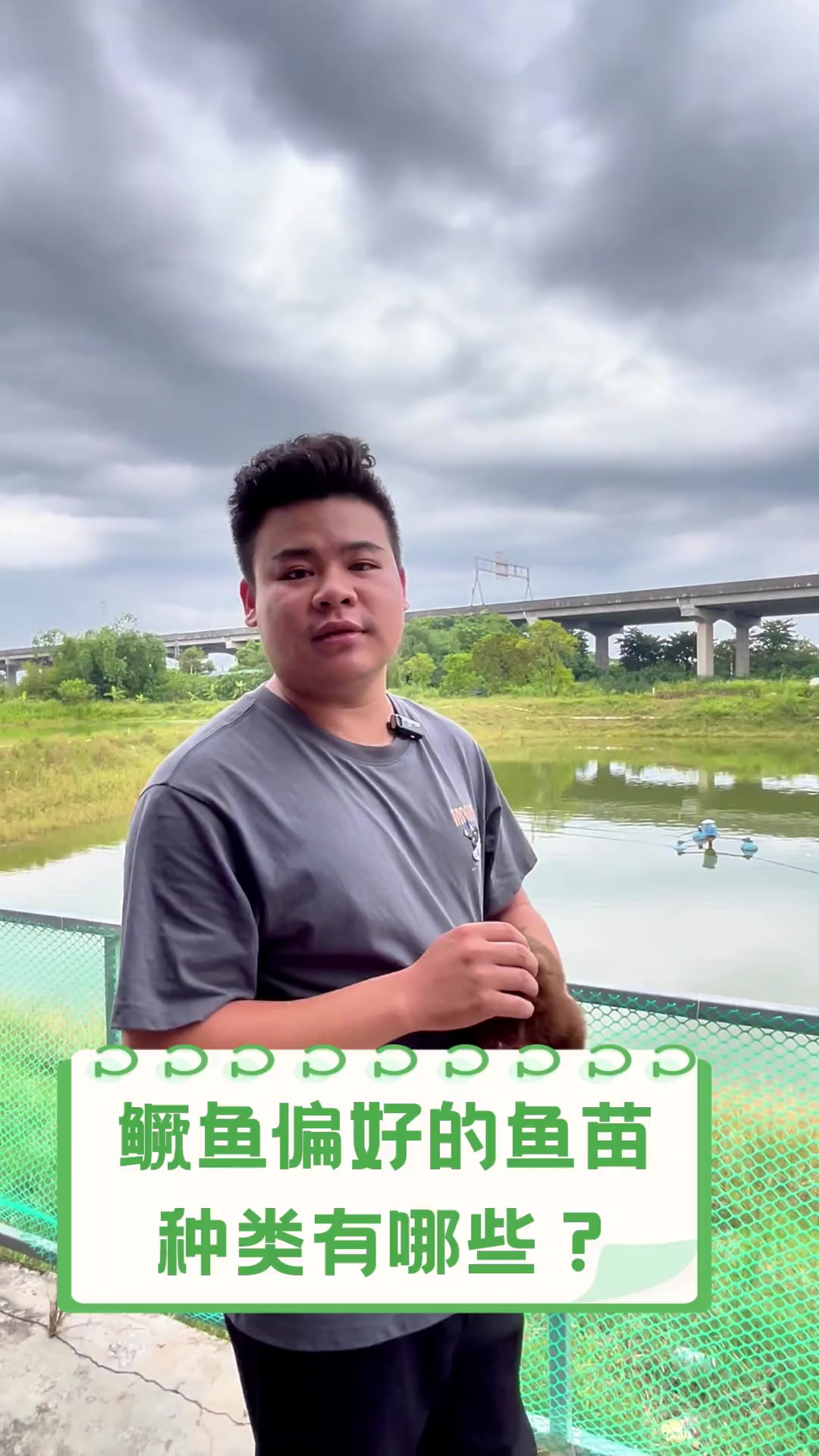 鳜鱼偏好的鱼苗种类有哪些?