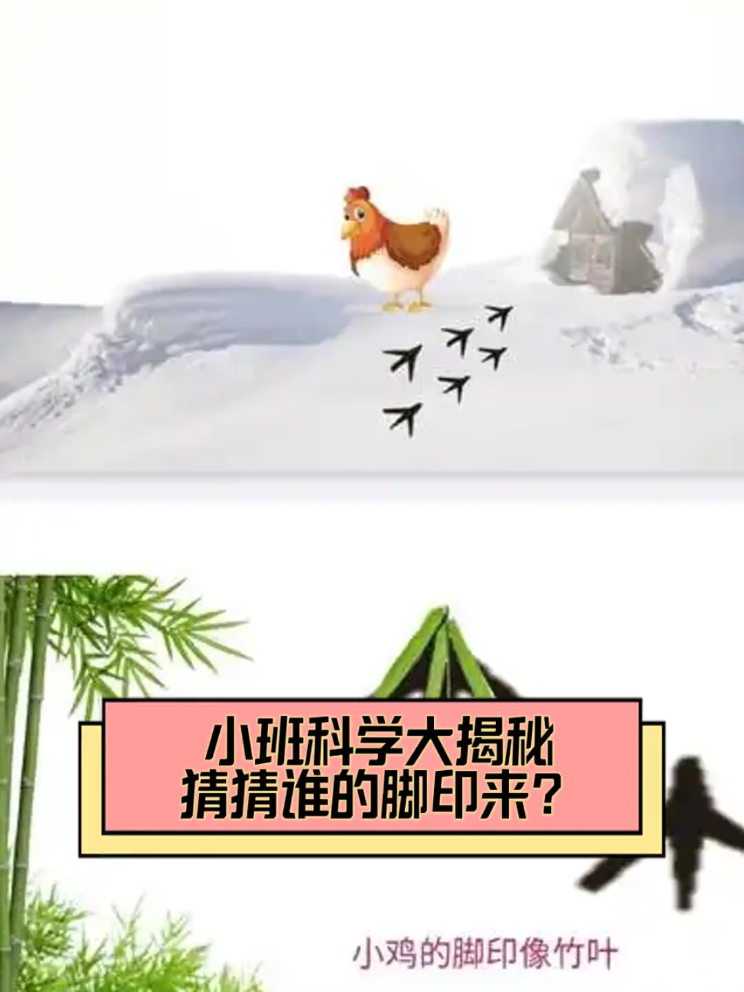 小班科学大揭秘,猜猜谁的脚印来?