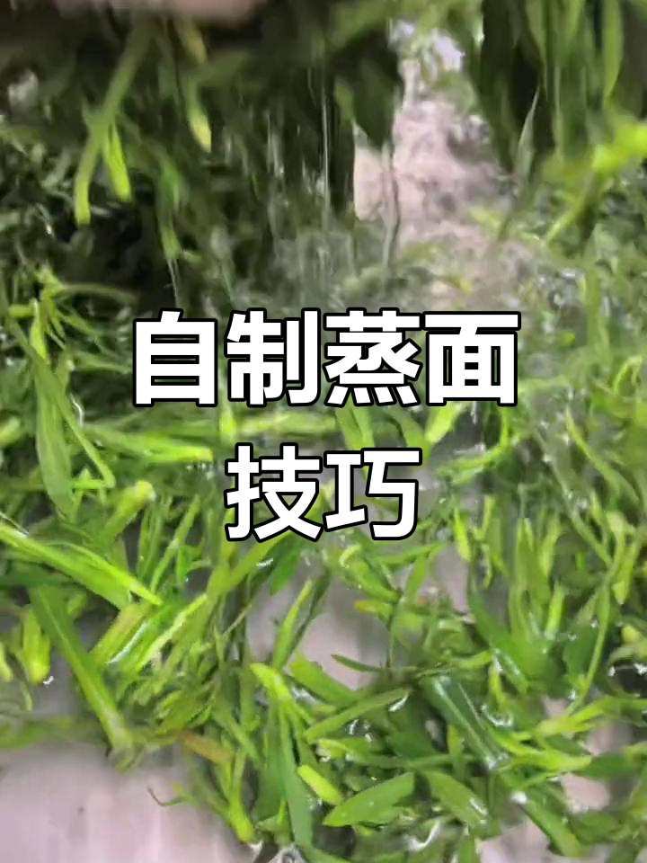 野菠菜面条的简单做法