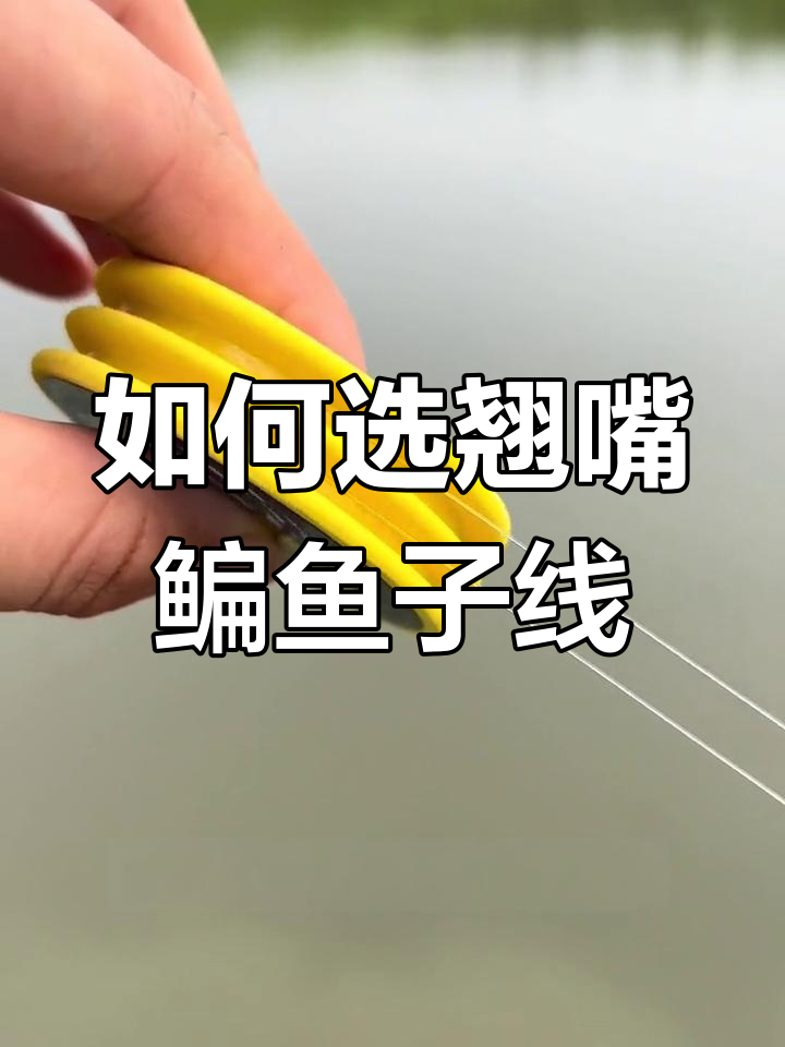 翘嘴鳊鱼钓法揭秘:如何选择最佳子线提高中钩率