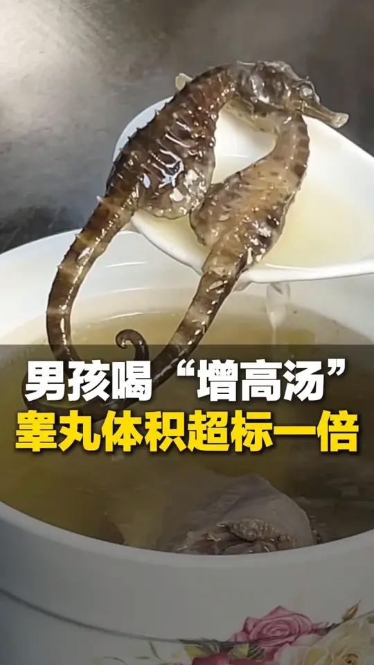 家长担心孩子长不高 给11岁儿子喝“海马田七汤”增高！半年睾丸体积达8ml超标一倍 超过4