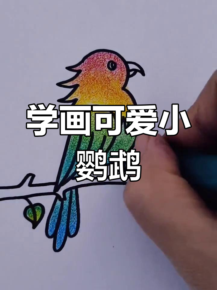 简单易学的鹦鹉简笔画教程