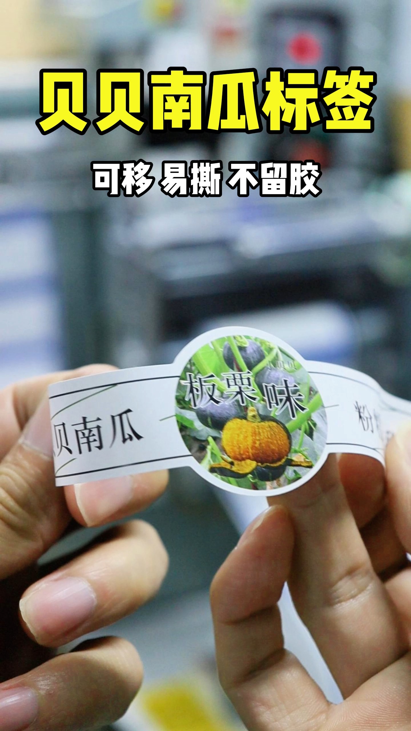 蔬菜类贝贝南瓜标签,可移易撕不留胶!