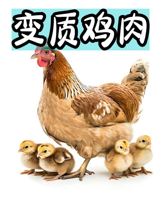 你确定这些鸡肉都能吃么？快告诉你家节省的老奶奶