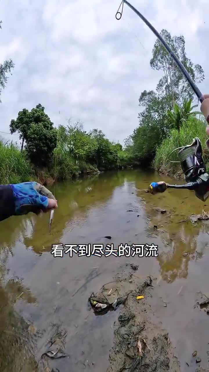 这鱼够拼,挣扎到累瘫了!户外钓鱼