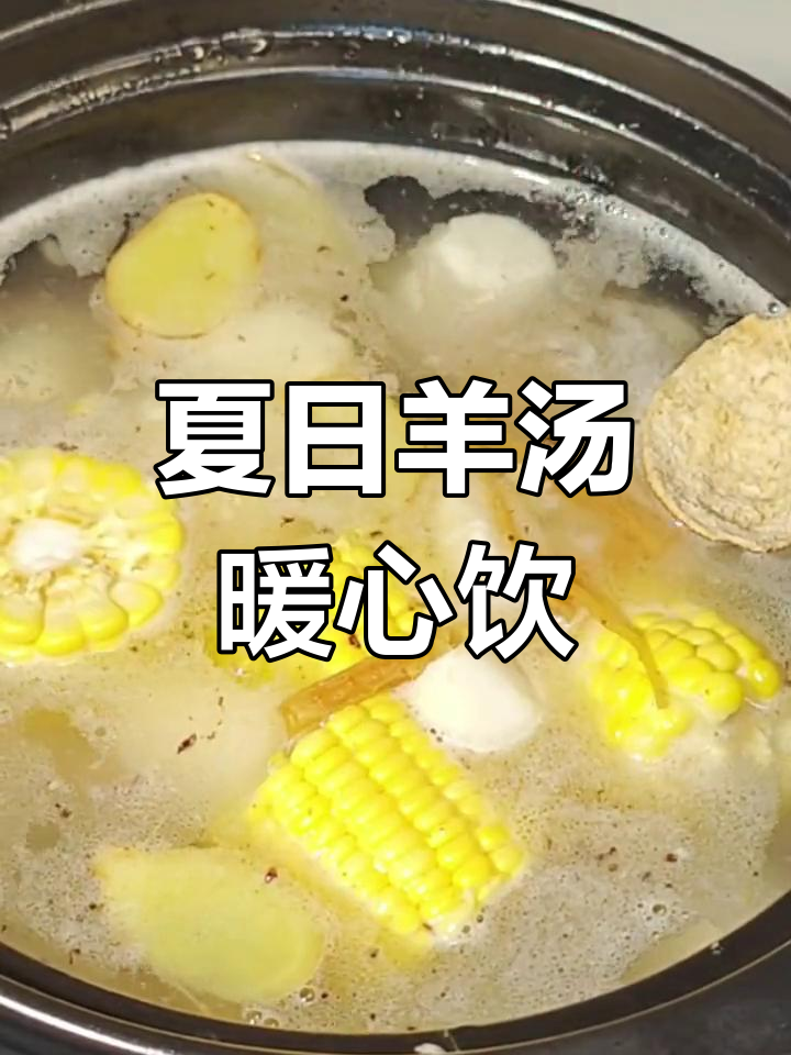三伏天必备羊肉汤,清甜滋补又驱寒