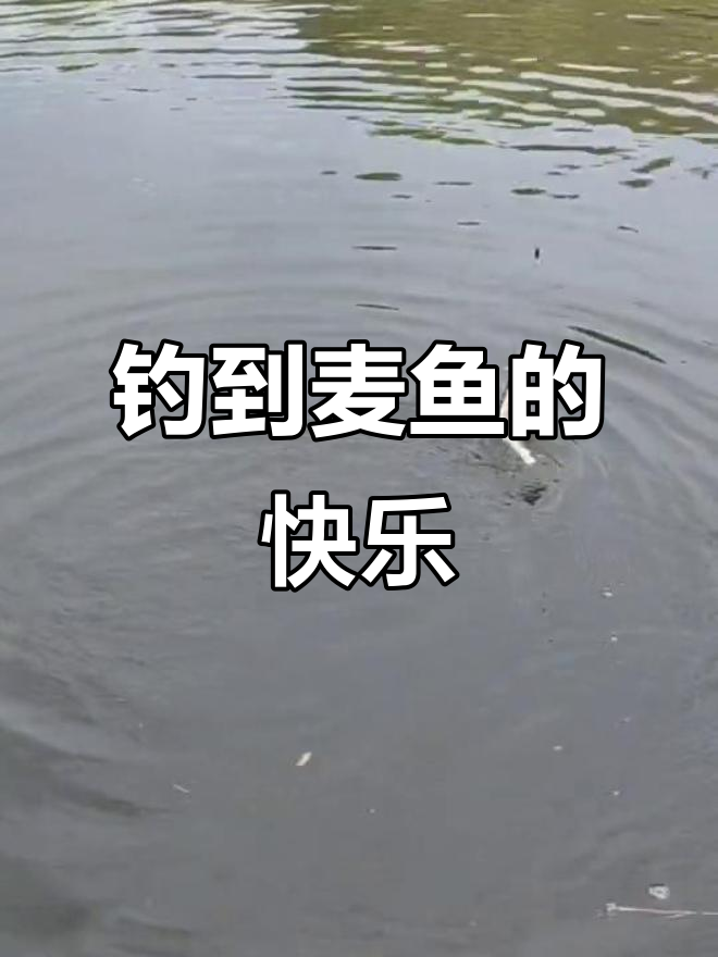 衢州叫麦鱼,老家称辣骚,钓鱼的乐趣只有懂的人才能体会